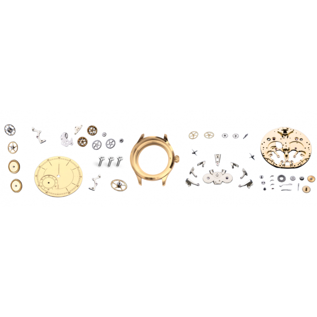 microwatch.png